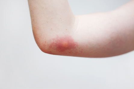 WEB_iStock-124525324.jpg